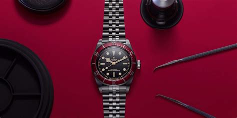 new 2024 tudor watch.